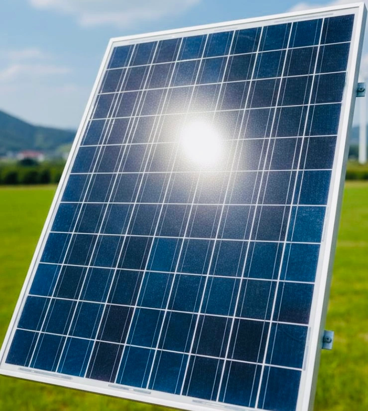 solar panel scrap buyers in qatar offering safe solar panel collection and recycling services